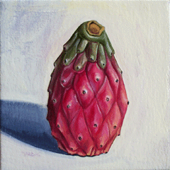 Cactus Pear