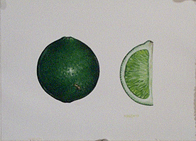 Lime
