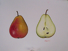 sicklet pear