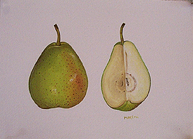 pear (1)