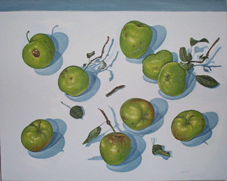 Belmont Bay Apples