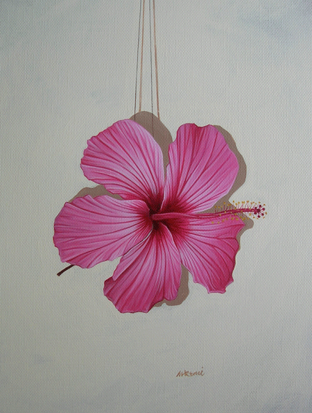 pink hibiscus